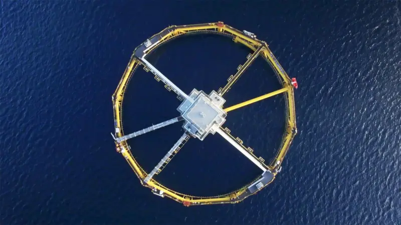 SalMar Ocean Farm 1