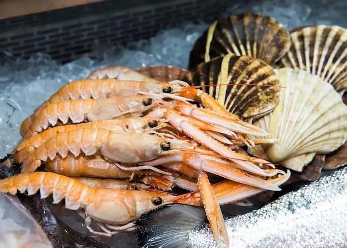 Scottish seafood