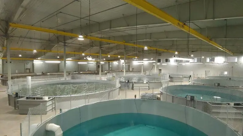 Aquaculture pens inside a laboratory