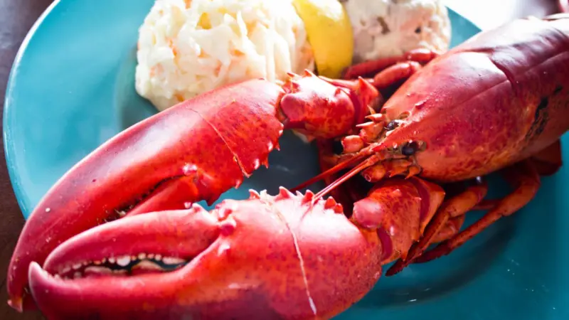 Canadian lobster
