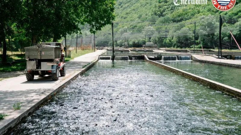 Troticoltura Cherubini achieves Friend of the Sea certification