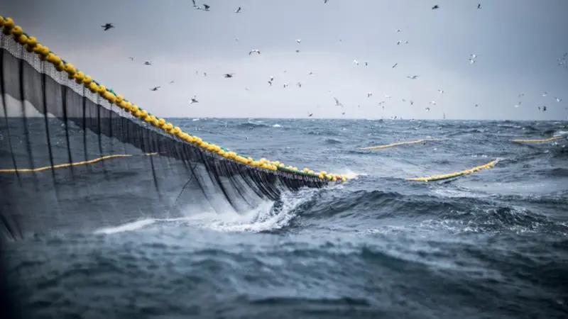 Bottom trawling