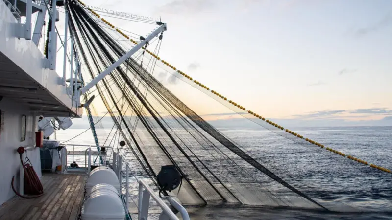 Tuna fishing vessel