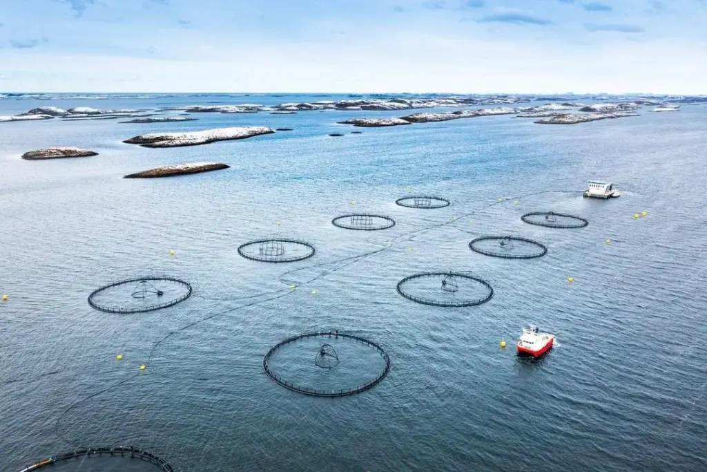 Aerial shot of salmon pens