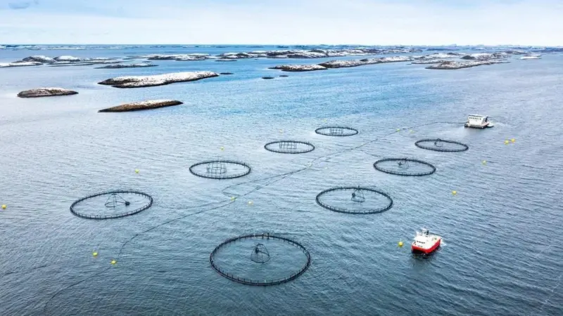 Aerial shot of salmon pens