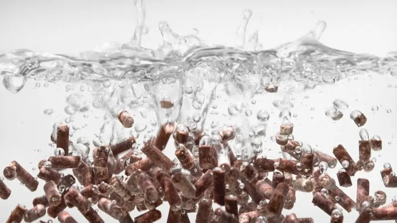 Unibio's Sustainable Protein Uniprotein