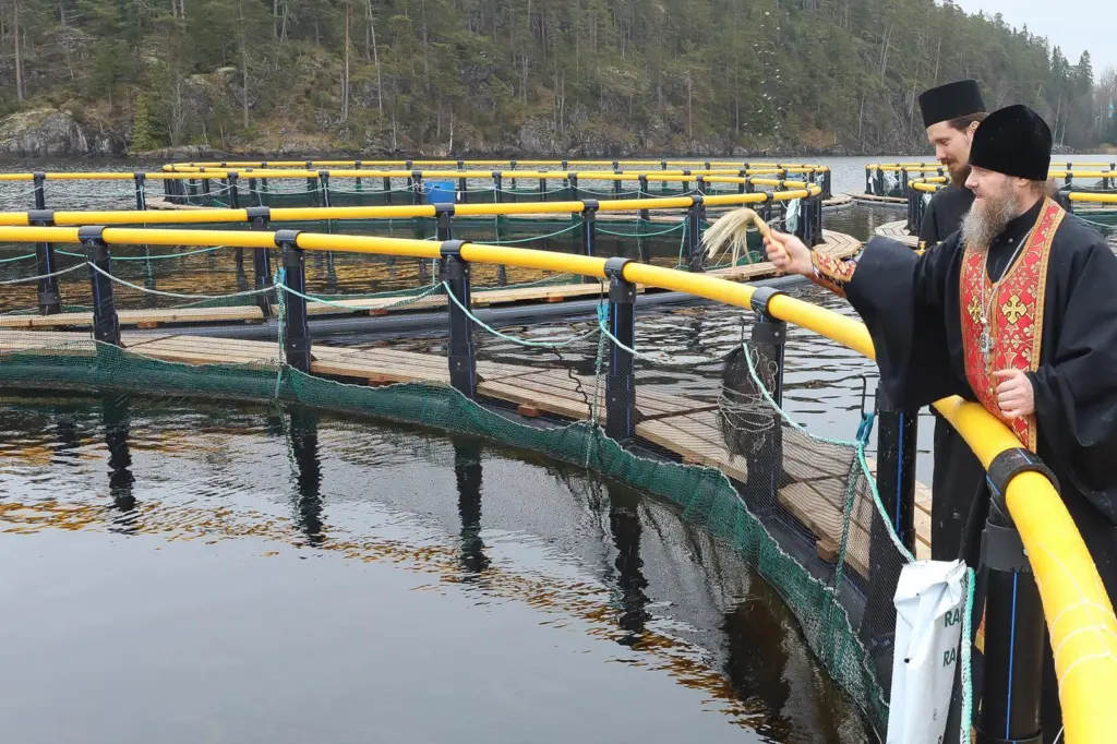 Russian salmon farms