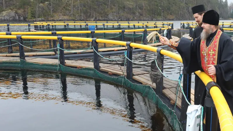 Russian salmon farms