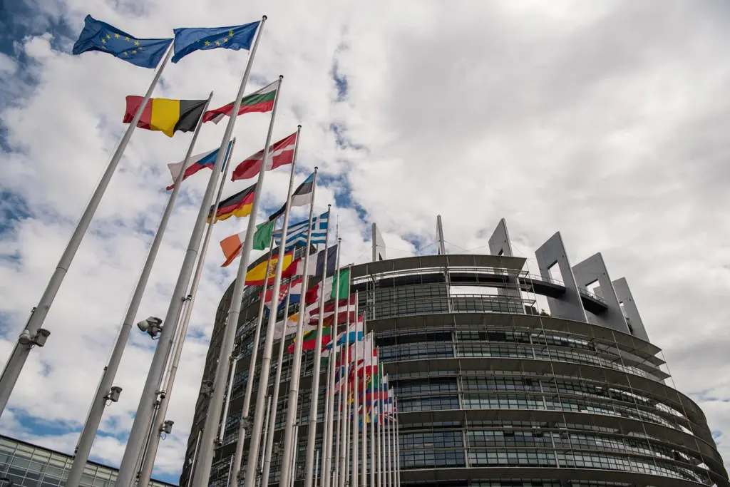 European Parliament