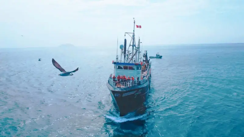Peruvian anchovy fishing vessel at sea