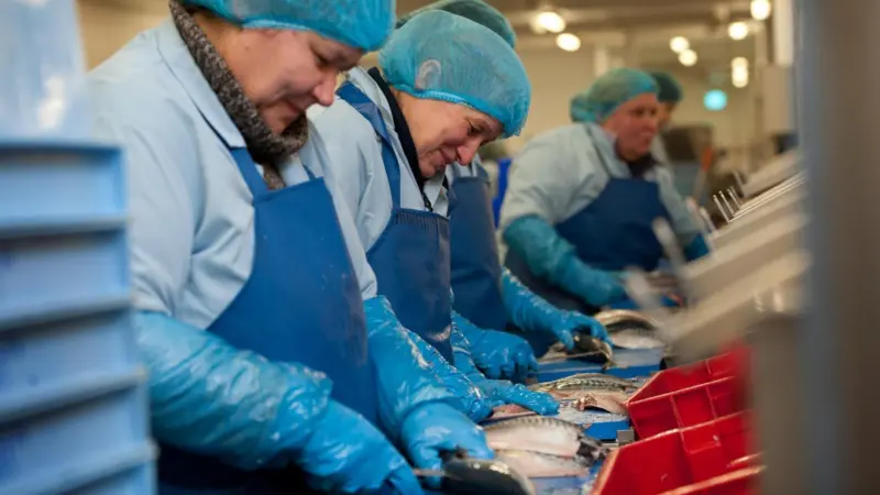UK Processing, Seafish