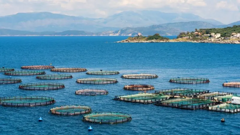 EU aquaculture