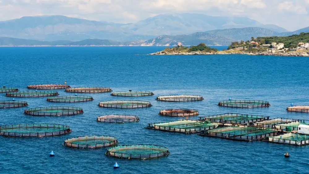 EU aquaculture