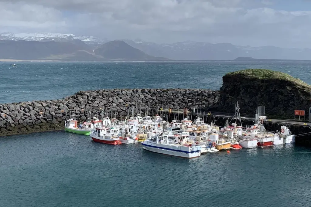 Iceland fishing vessels