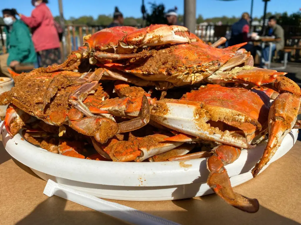 Maryland crab