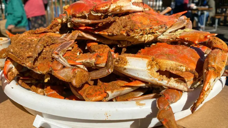 Maryland crab