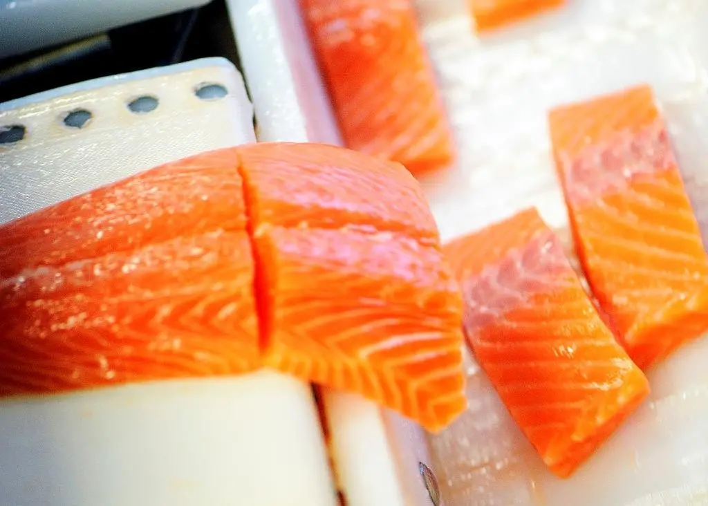 Norwegian salmon
