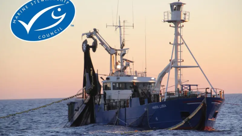 The image shows a vessel fishing the Australian Southern Bluefin Tuna fishery