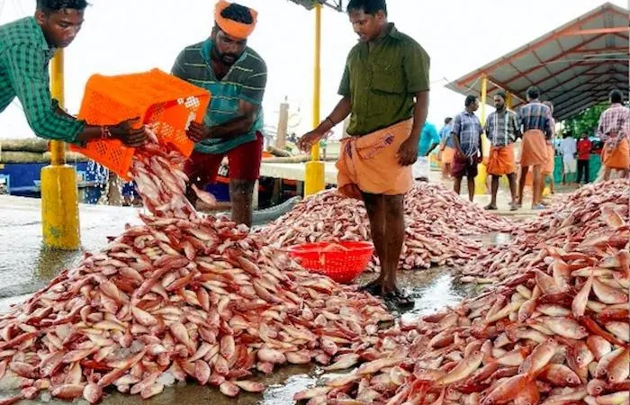 India fisheries