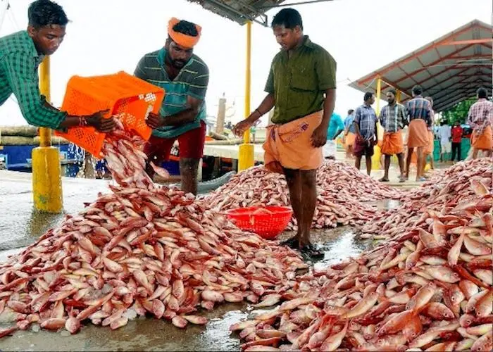 India fisheries