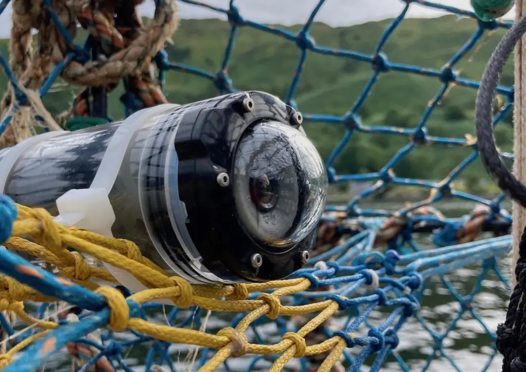 SNTech creel catchcam