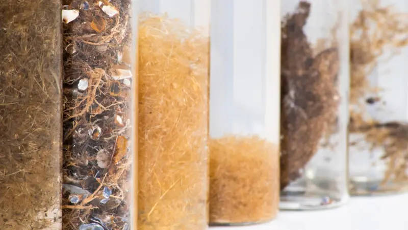 Seastex byssus samples