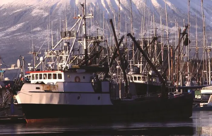 Trump signs seafood industry Executive Order