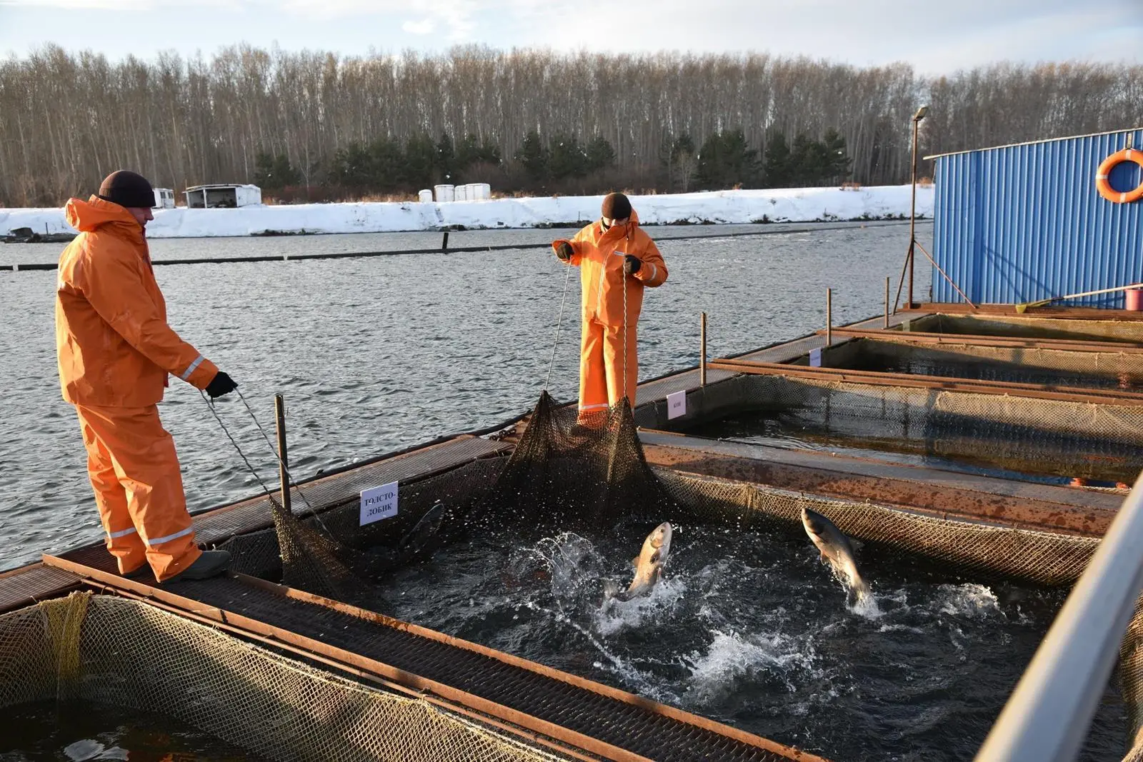 Belovo Fish Farm
