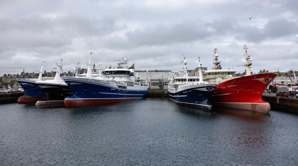 Scottish pelaagic vessels