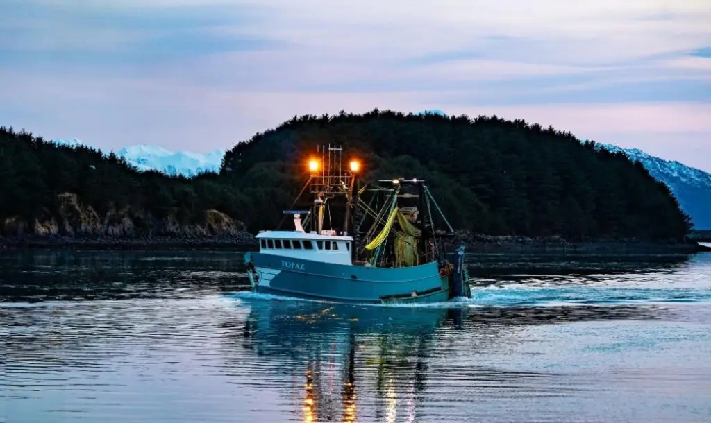 Topaz, Alaska pollock