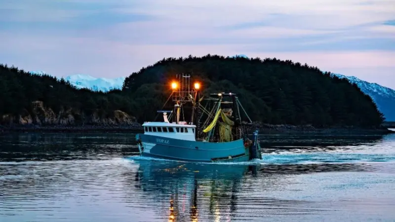 Topaz, Alaska pollock