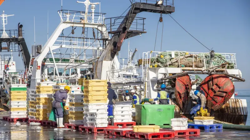 Workers on board a hake trawler