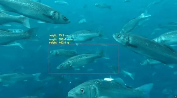 Innovasea BiomassPro