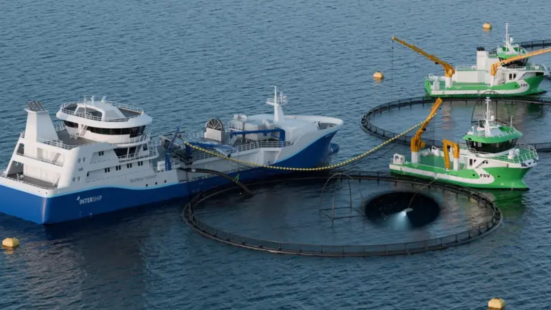 The image shows Trident Aqua Services aquaculture vessels on the water