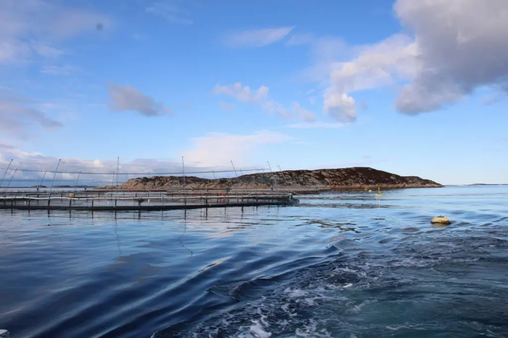 Norcod farming site