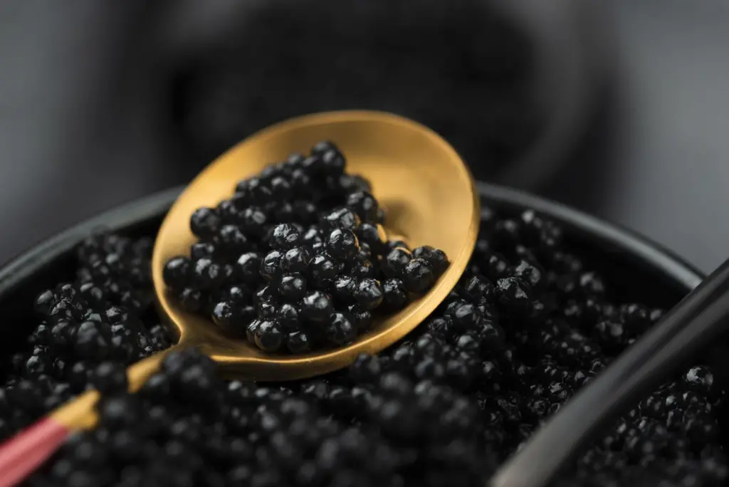 Caviar