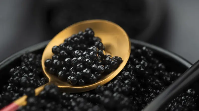 Caviar