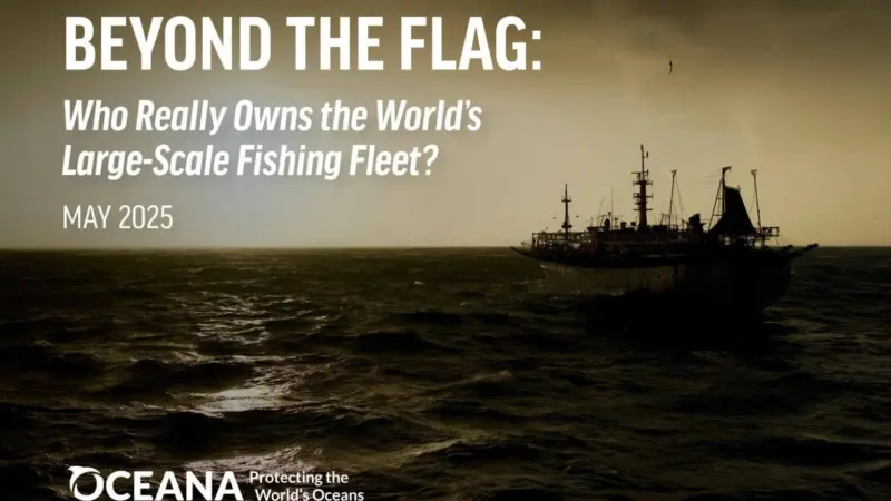 First page of a report called Beyond the Flag by Oceana asking who really owns the world's large-scale fishing fleet