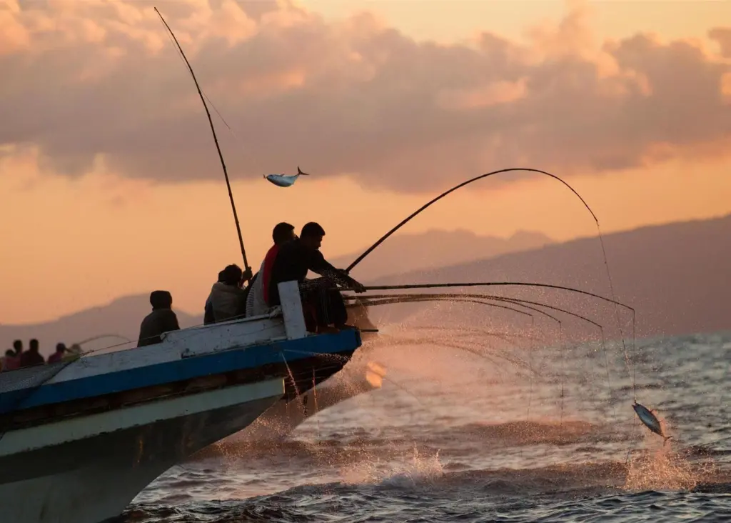 line and pole tuna fishing