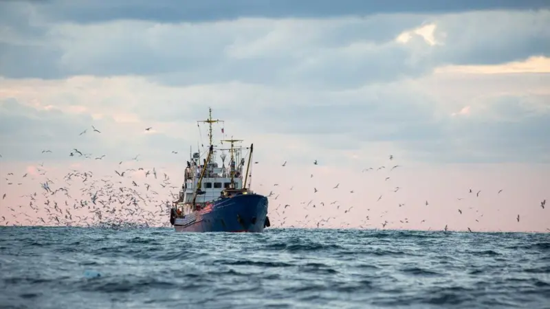 European bottom trawling