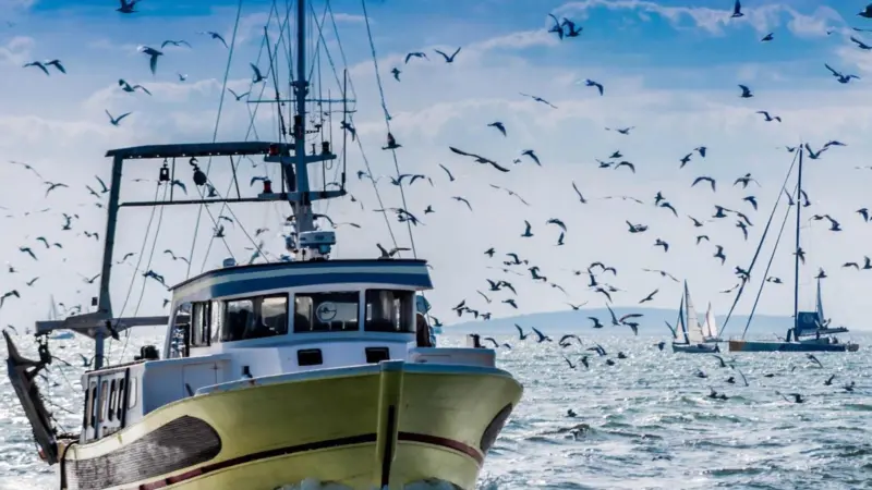 EU fishing