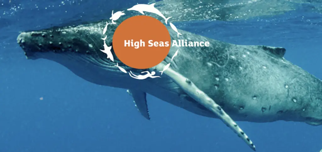 High Seas Alliance
