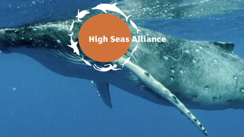 High Seas Alliance