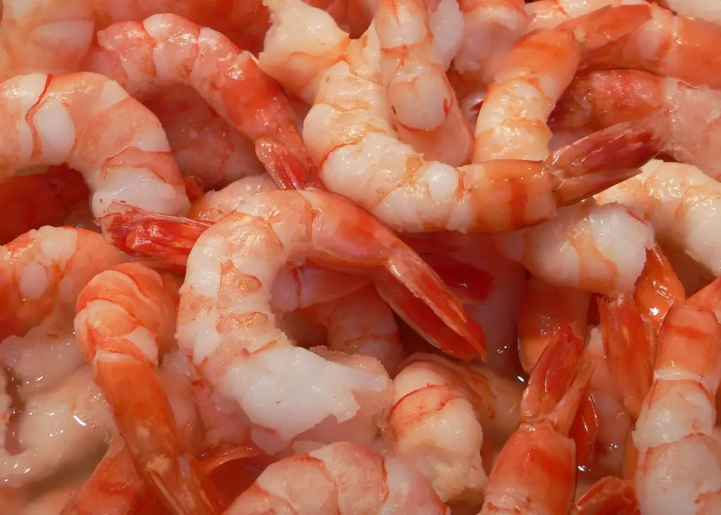 Farmed shrimp
