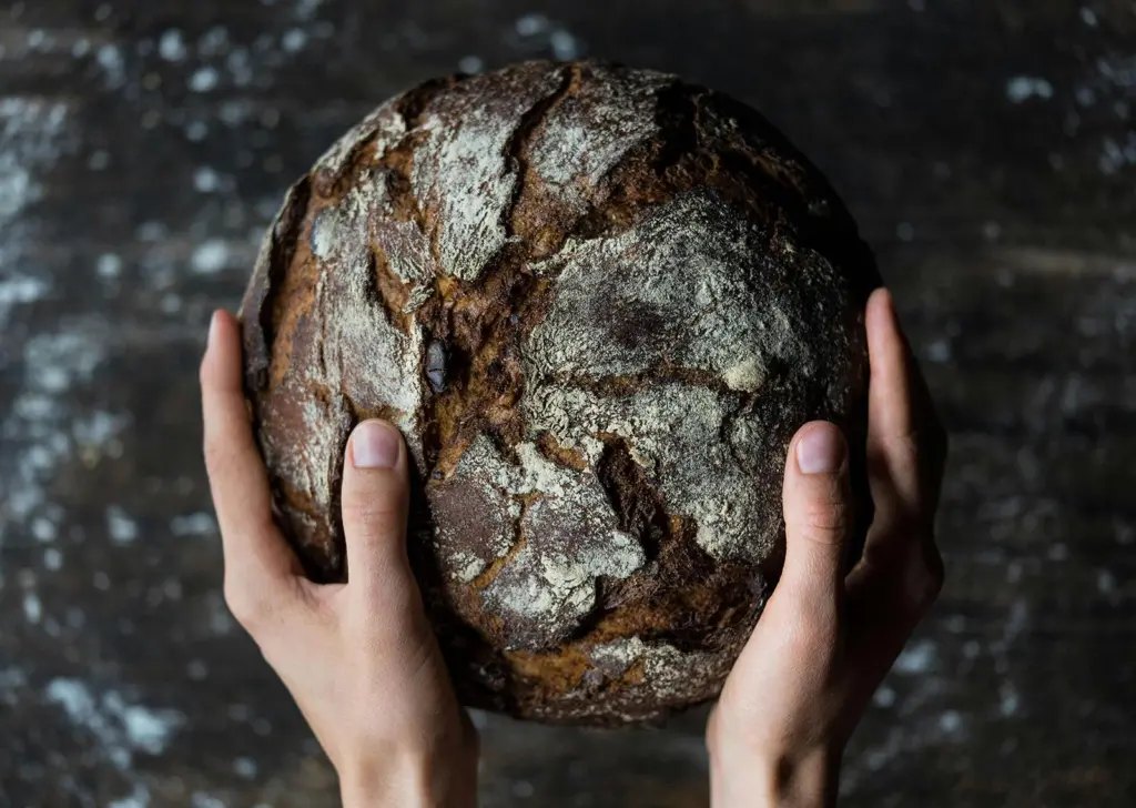 Seafibrex bread