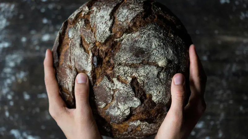 Seafibrex bread