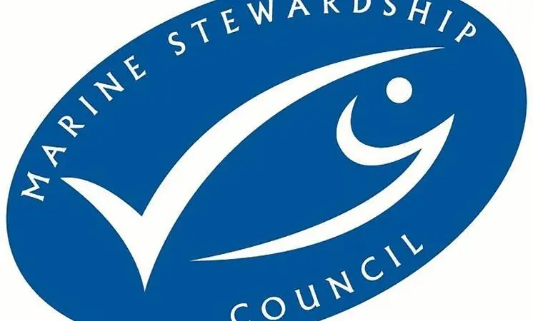 MSC