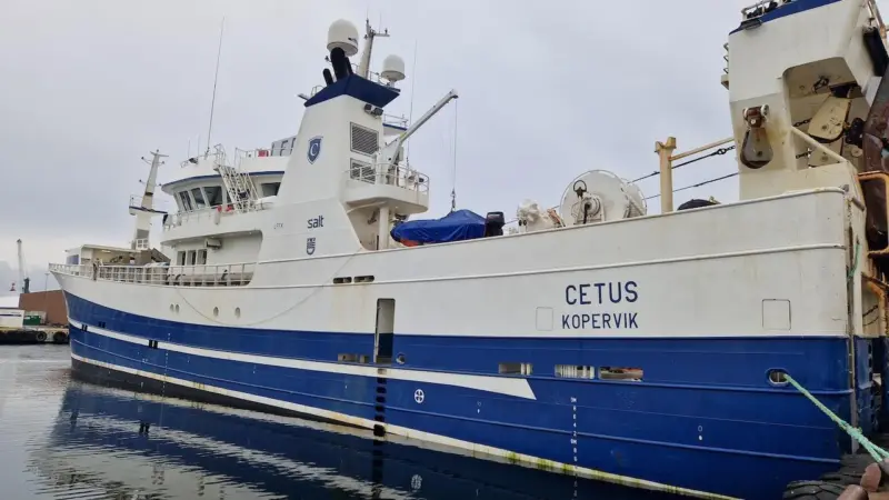 FHF/Cetus