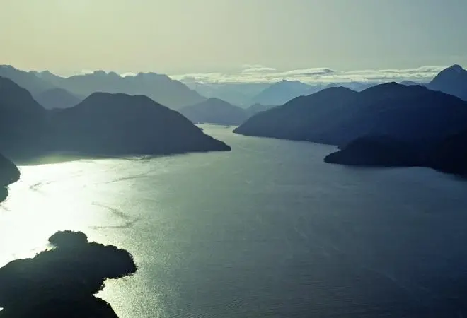 New Zealand’s aquaculture export surge sends a clear signal of strong future growth