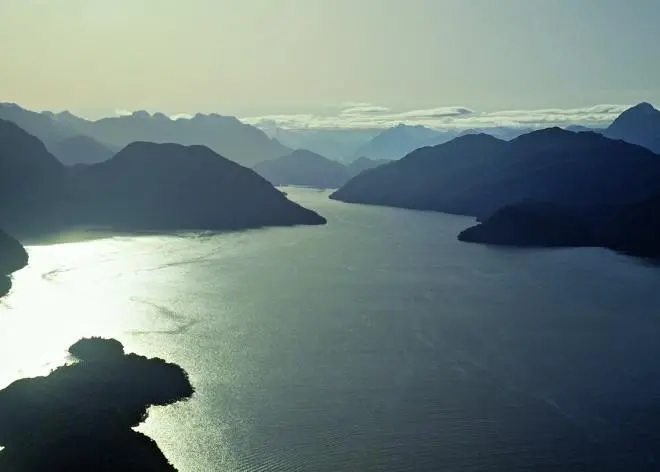 New Zealand’s aquaculture export surge sends a clear signal of strong future growth